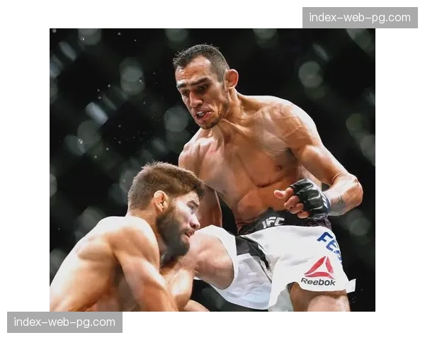 独家专访:凯文·李谈重返UFC后的心态转变与目标